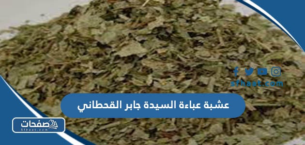 عشبة عباءة السيدة جابر القحطاني