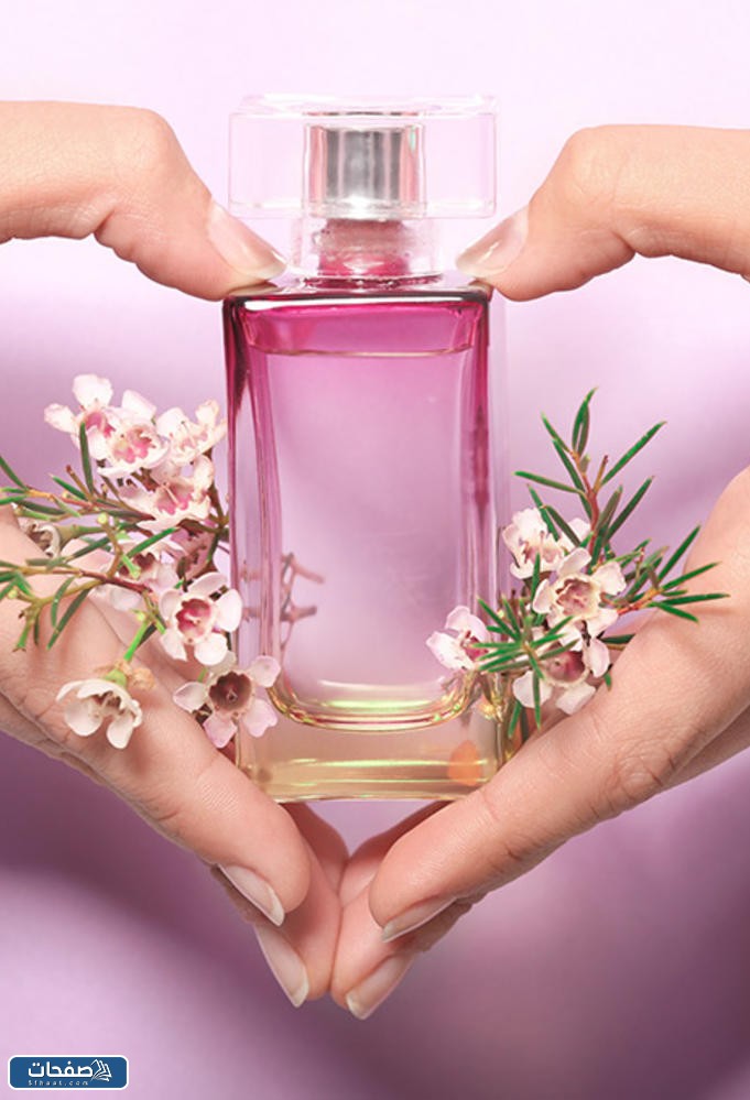 عطور الفيرمونات عطر الفرمونات من نعومي
