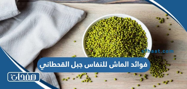فوائد الماش للنفاس جبل القحطاني