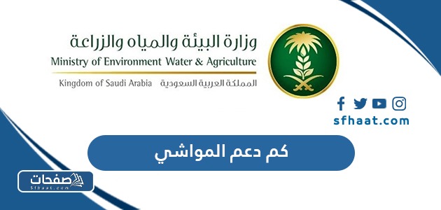 كم دعم المواشي لرأس وكيف يحسب مقدار الدعم 1447