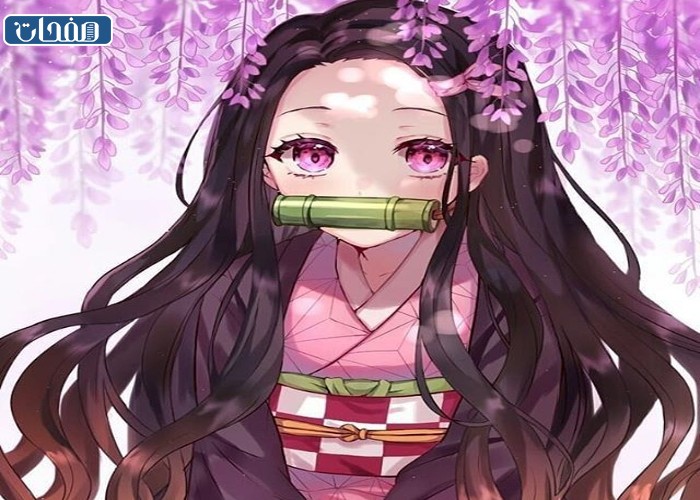 نيزوكو كامادو