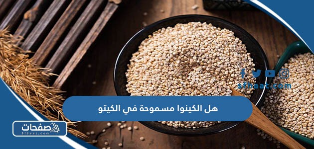 هل الكينوا مسموحة في الكيتو